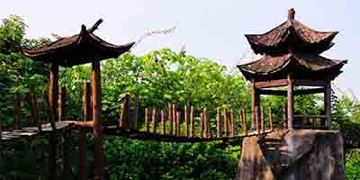 廈門園博苑防腐木棧道景觀，成就獨(dú)一無(wú)二的水上大觀園